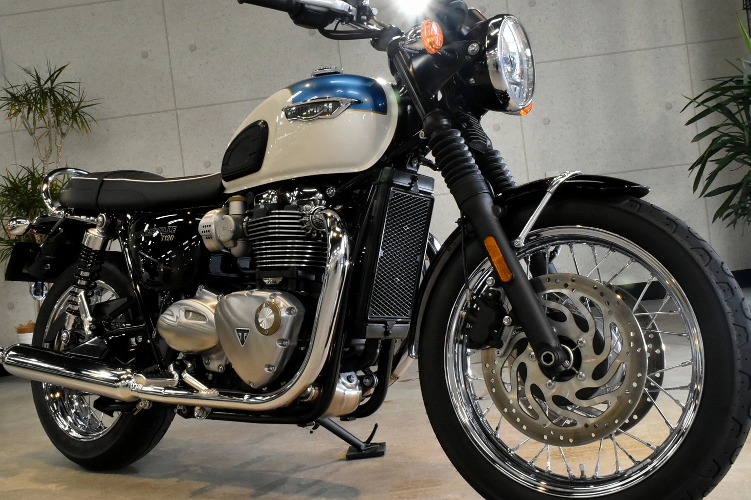20220127triumpht120_001.jpg