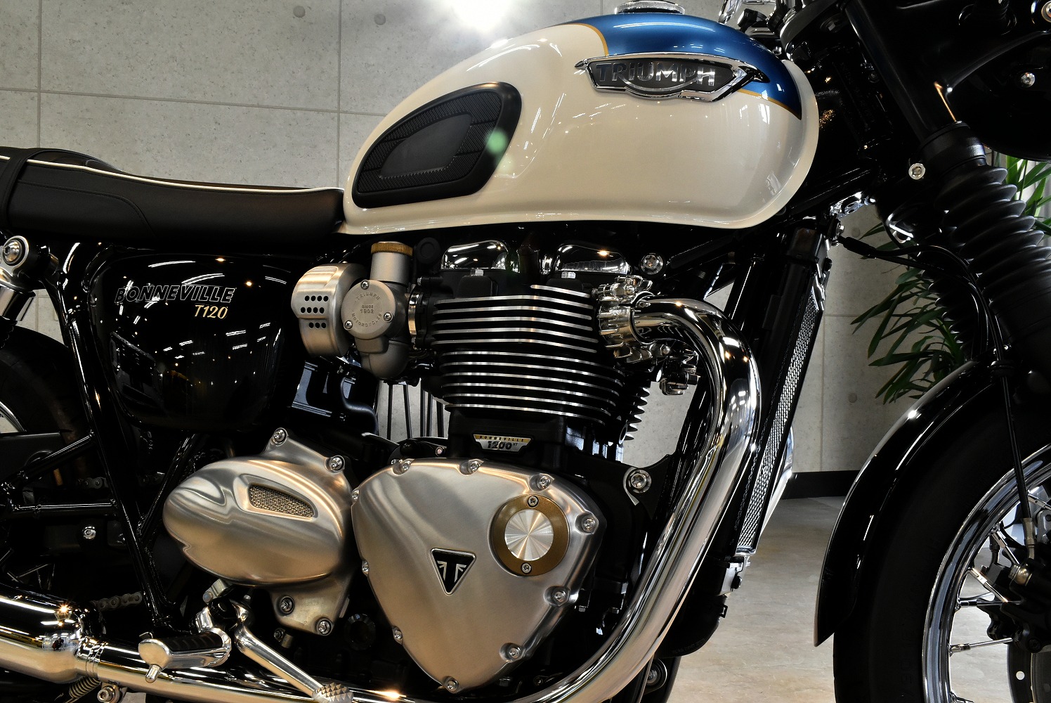 20220127triumpht120_003.jpg