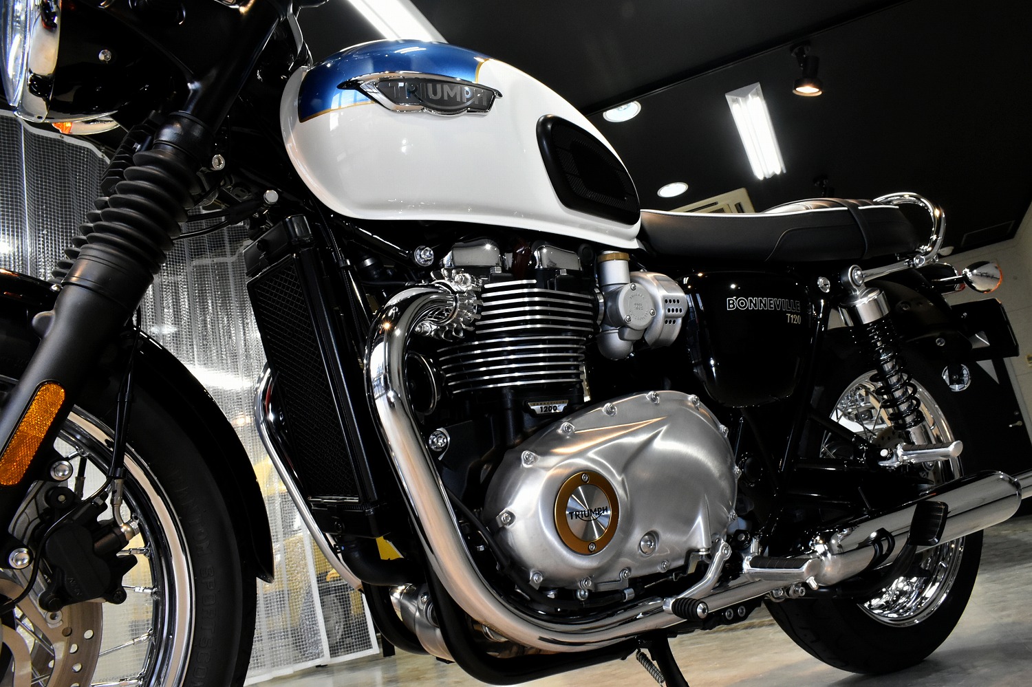 20220127triumpht120_004.jpg